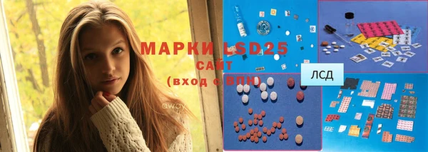 спиды Кулебаки