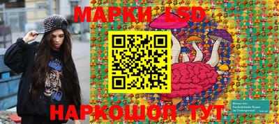 гашик Донецк