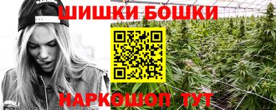 шишки Донской