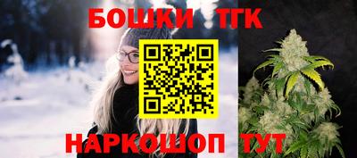 спиды Дубна