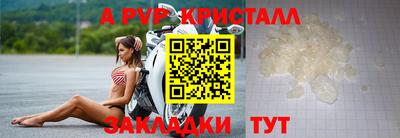 спиды Дубна