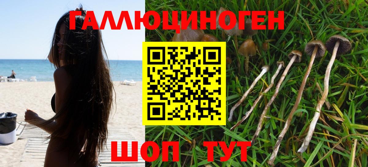 Alpha PVP Михайловка